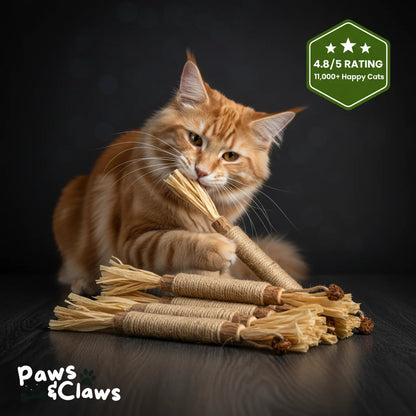 Natural Silvervine Dental Sticks