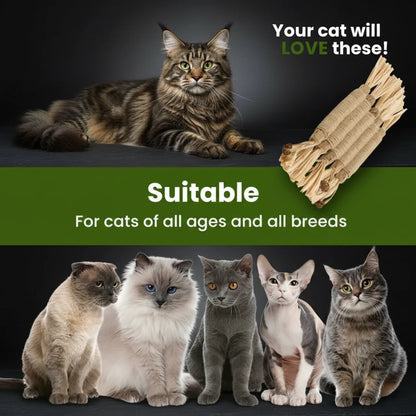 Natural Silvervine Dental Sticks