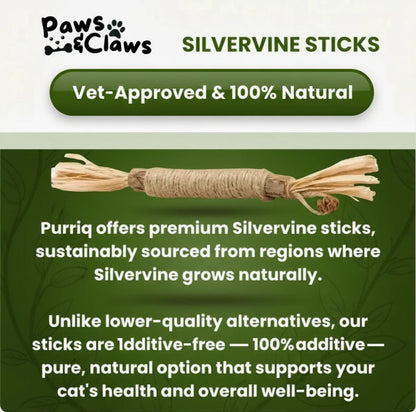 Natural Silvervine Dental Sticks