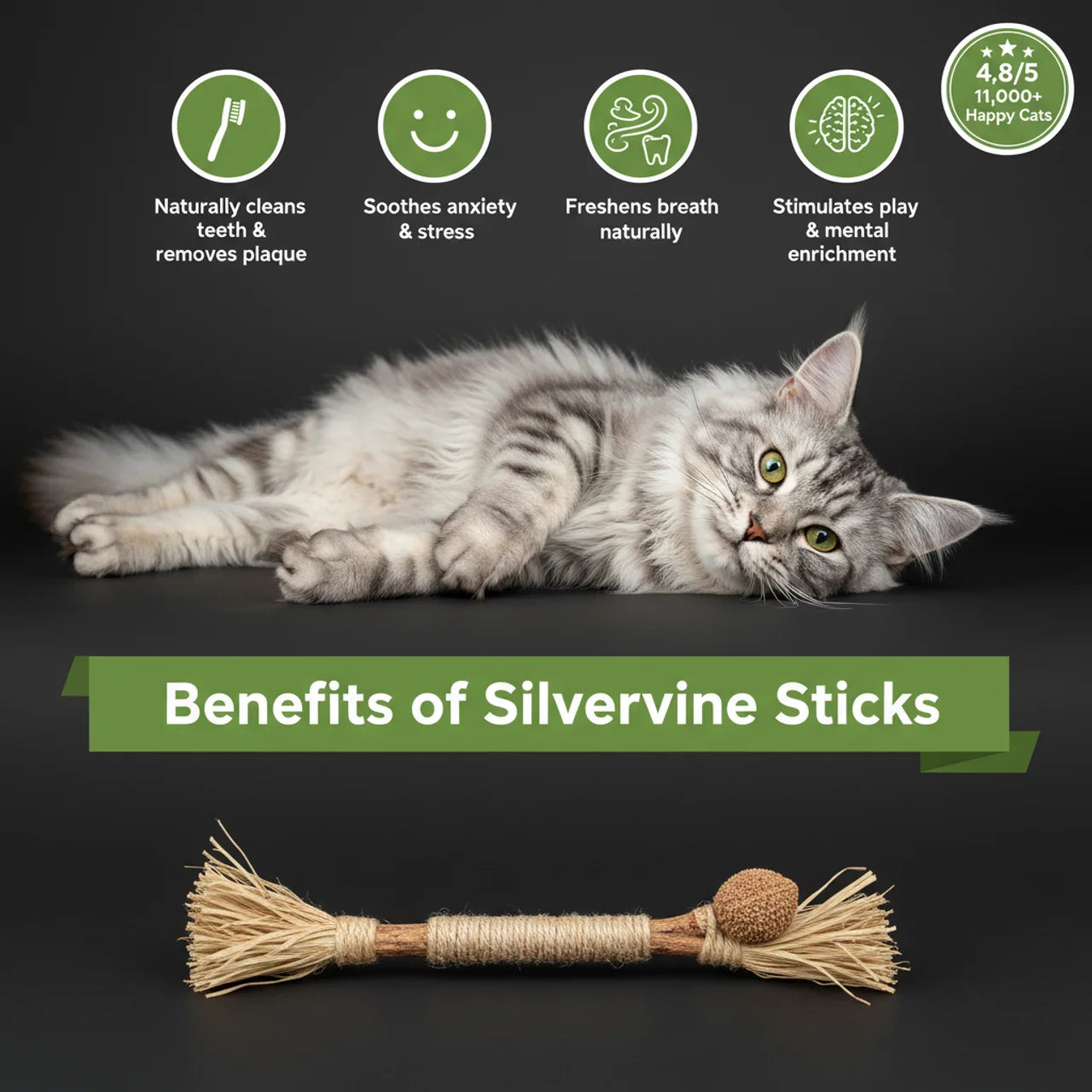 Natural Silvervine Dental Sticks