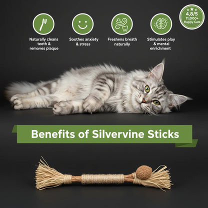 Natural Silvervine Dental Sticks
