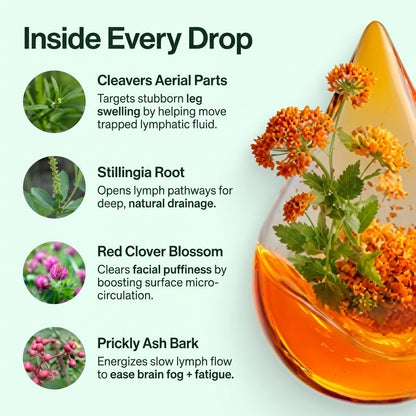 HerbaPure Drainage Drops